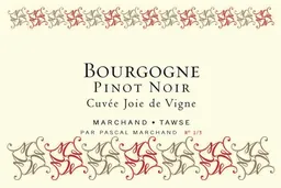 Bourgogne Pinot Noir Joie de Vigne