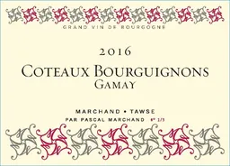 Coteaux Bourguignons Gamay