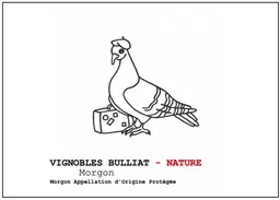 Morgon Nature Gamay