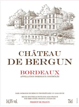 Chateau de Bergun