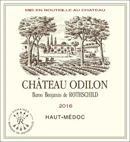Chateau Odilon
