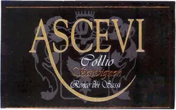 Ascevi Ronco dei Sassi Collio Sauvignon