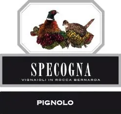 Pignolo