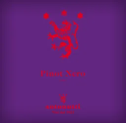 Friuli Grave Pinot Nero