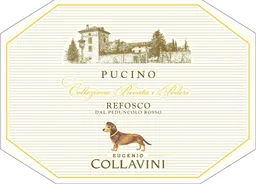 Collavini Refosco dal Peduncolo Rosso