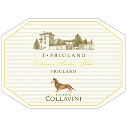 T Friulano