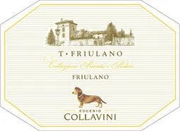 Collavini T-Friulano