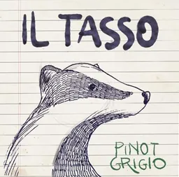 Il Tasso Pinot Grigio