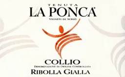 Collio Ribolla Gialla
