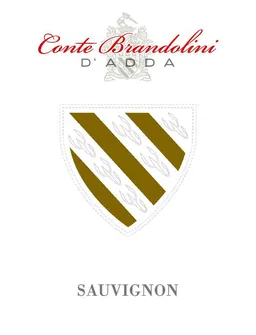Sauvignon Blanc