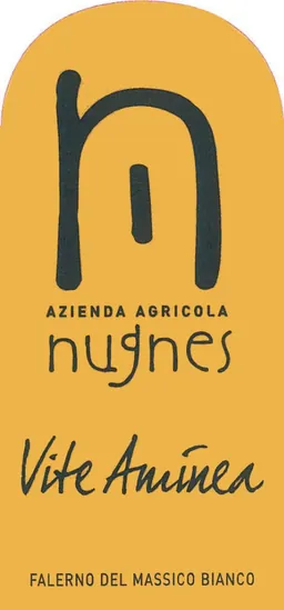 Antonio Nugnes Masseria Santi Apostoli Falerno del Massico Vite Aminea