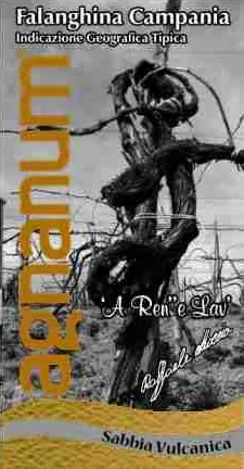 Azienda Agricola Agnanum di Raffaele Moccia Falanghina Campania Sabbia Vulcanica