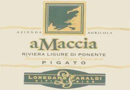 Azienda Agricola Amaccia Riviera Ligure di Ponente Pigato