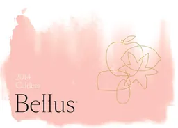 Bellus Caldera Falanghina