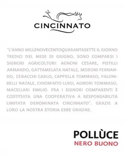 Cantina Cincinnato Lazio Polluce Nero Buono