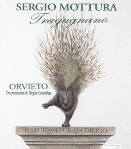 Cantina Sergio Mottura Orvieto Tragugnano Secco