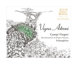 Vigna Astroni Falanghina Campi Felegri