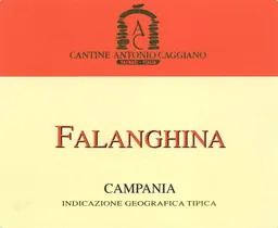 Campania Falanghina