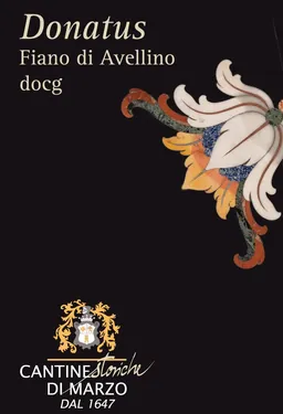 Fiano di Avellino Cantine Storiche Donatus