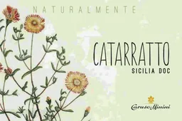 Naturalmente Bio Catarratto