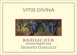 D'Angelo Basilicata Vitis Divina Rosso Aglianico