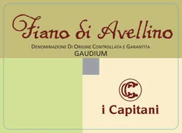 Fiano di Avellino Gaudium
