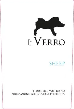 Terre del Volturno Sheep