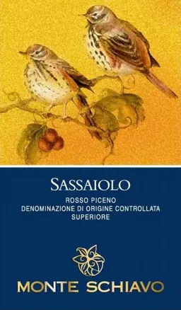 Rosso Piceno Sassaiolo Superiore