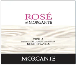 Rose di