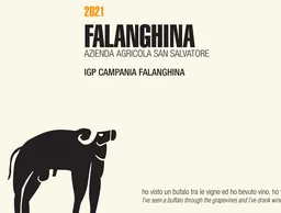 Falanghina