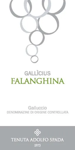 Galluccio Gallicius Falanghina