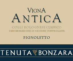 Colli Bolognesi Classico Pignoletto Vigna Antica