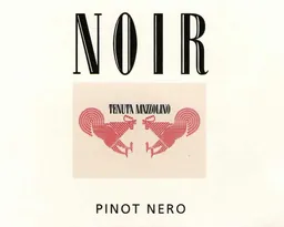 Oltrepo Pavese Noir Pinot Noir