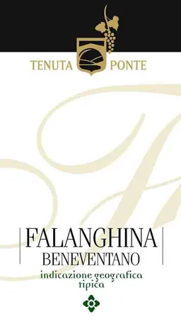 Beneventano Falanghina