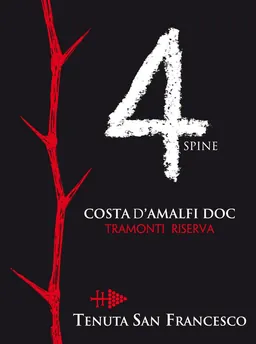 Costa d'Amalfi 4 Spine Riserva Rosso
