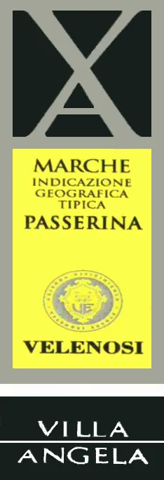 Marche Villa Angela Passerina