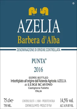 Barbera d'Alba Vigneto Punta