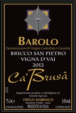 Barolo Bricco San Pietro Vigna D'Vai