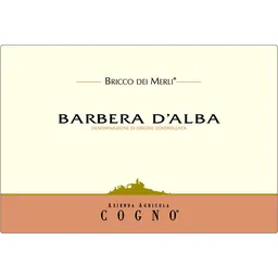 Elvio Cogno Bricco dei Merli Barbera