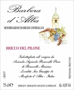 Barbera d'Alba Bricco del Pilone