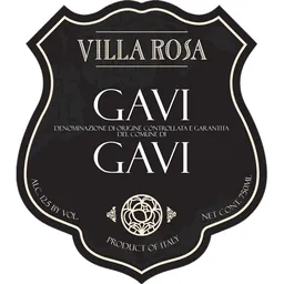 Gavi Di Gavi