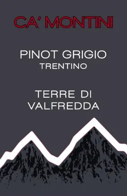 Ca' Montini Terre di Valfredda Pinot Grigio