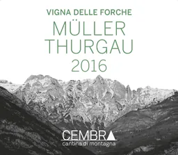 Cembra Cantina di Montagna Vigna della Forche Muller Thurgau