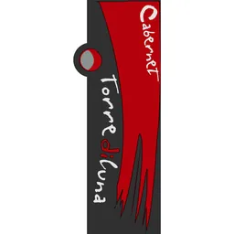 Cabernet Delle Venezie
