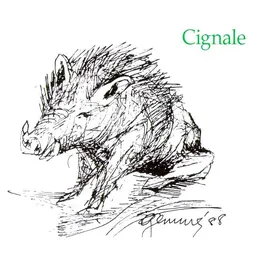 Cignale