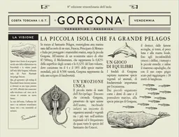 Gorgona