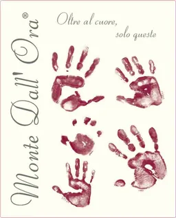 Azienda Agricola Monte Dall'Ora Valpolicella Classico Saseti