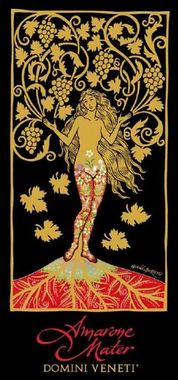 Amarone della Valpolicella Classico Riserva Mater