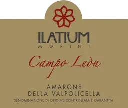 Amarone della Valpolicella Campo Leon