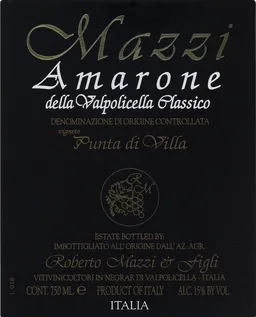 Amarone Della Valpolicella Classico Punta Di Villa